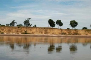Falta de mata ciliar e barranco do rio exposto à erosão. Foto: Margi Moss