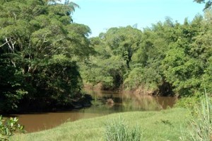 O Rio Miranda em Jardim, MS