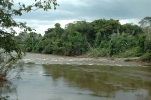 Águas rasas e corredeiras no Rio Miranda. Foto Margi Moss
