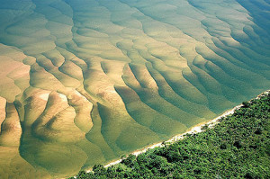Águas transparentes no baixo Tocantins. Foto Margi Moss